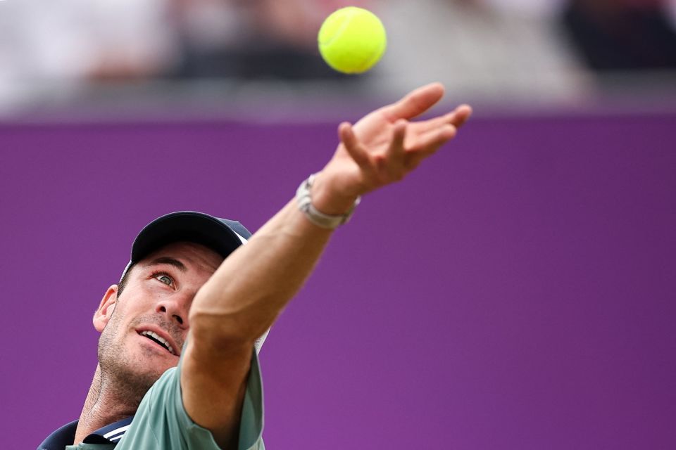 他们的阵容 他们的阵容