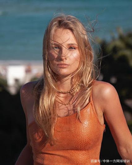 交易能在夏 交易能在夏